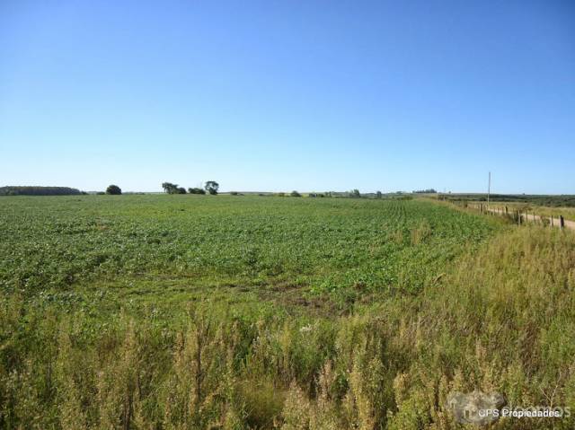 Chacra 18.5ha en zona Paso Guerrero. - 1