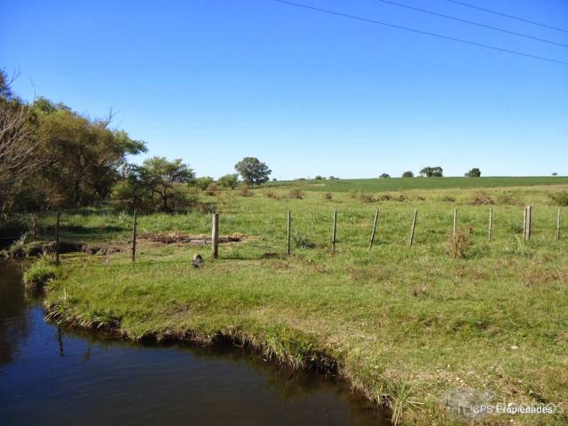 Chacra 18.5ha en zona Paso Guerrero. - 2