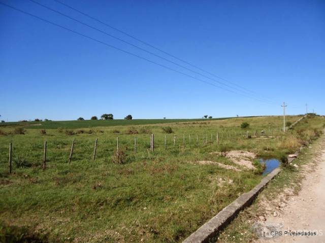 Chacra 18.5ha en zona Paso Guerrero. - 3