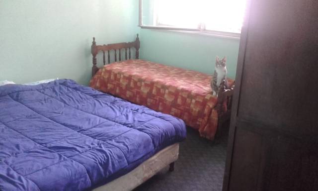 Comparto alquiler de 2 dormitorios, próximos al Nuevo Centro - 1