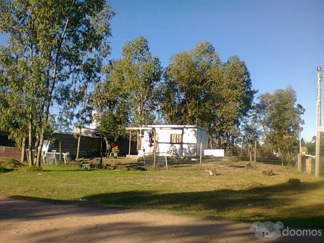 UNICO..!! 700 mts2 CON APARTAMENTO..!! PRECIO OPORTUNIDAD..!! - 3