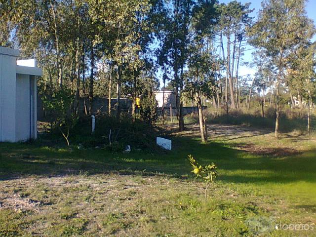 UNICO..!! 700 mts2 CON APARTAMENTO..!! PRECIO OPORTUNIDAD..!! - 5