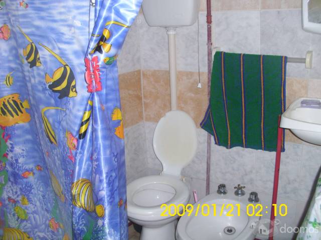 Terreno con cabaña con quinchado de paja. - 4