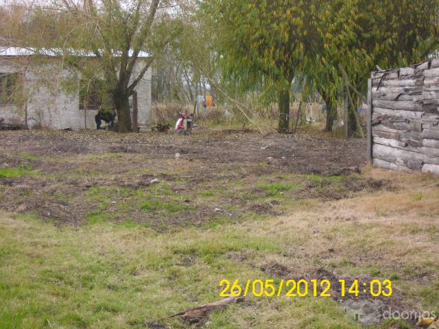 Terreno con cabaña con quinchado de paja. - 7