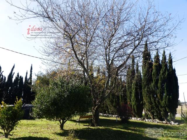 Chacra 6Hás con Muy Buena Casa 150m2, 4 dormitorios, 2 baños en Canelón Chico - 11