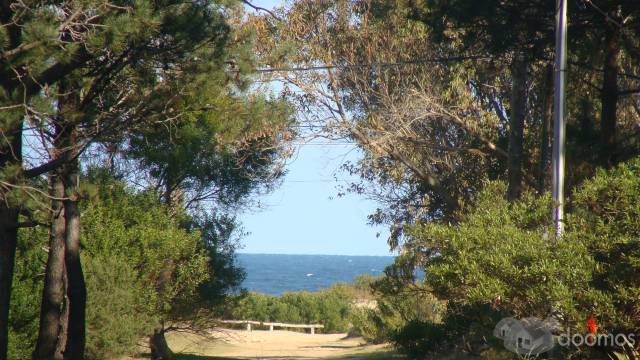 A LA PALOMA URUGUAY - 6