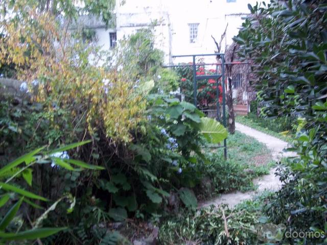 LINDÍSIMA CASA DE ESTILO EN PUNTA CARRETAS, CASI 21 DE SETIEMBRE - 11