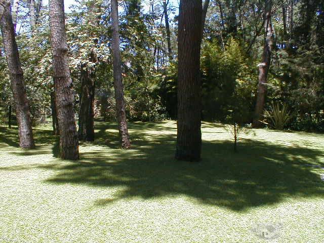 Casa en San Rafael - 6