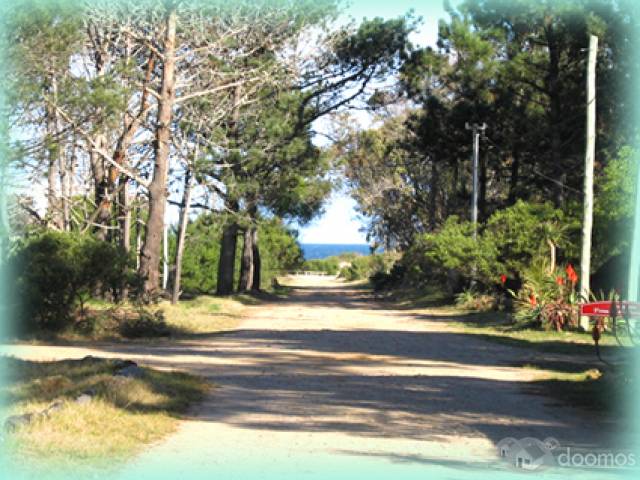 A La Paloma.com Alquiler de Casas en La Paloma, Uruguay. A pasos del mar. - 2