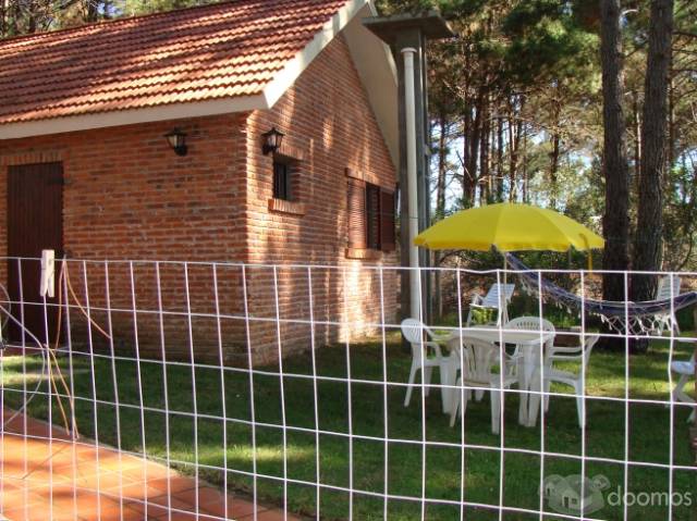A LA PALOMA URUGUAY - 2