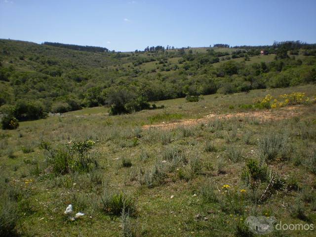 Terrenos en venta en villa serrana - 4