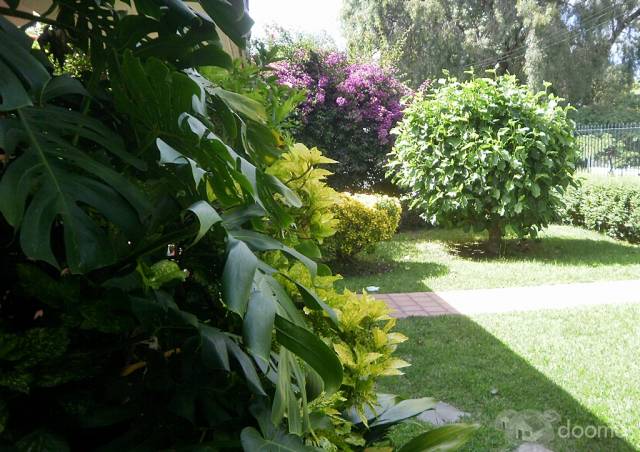 VILLA COLÓN - MAGNÍFICA RESIDENCIA - 6