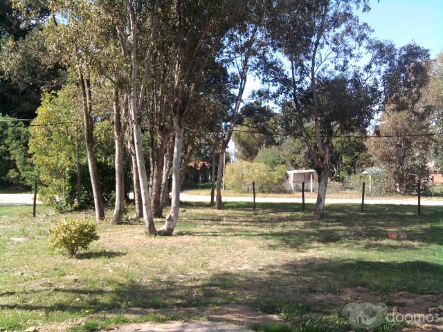 Alquilo casa en Atlantida - 6
