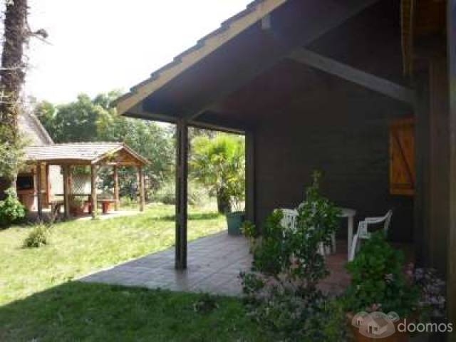 Oportunidad Hermosa Cabaña - 12