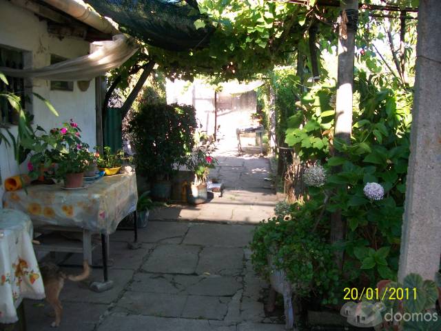 Casa con quinta - 2