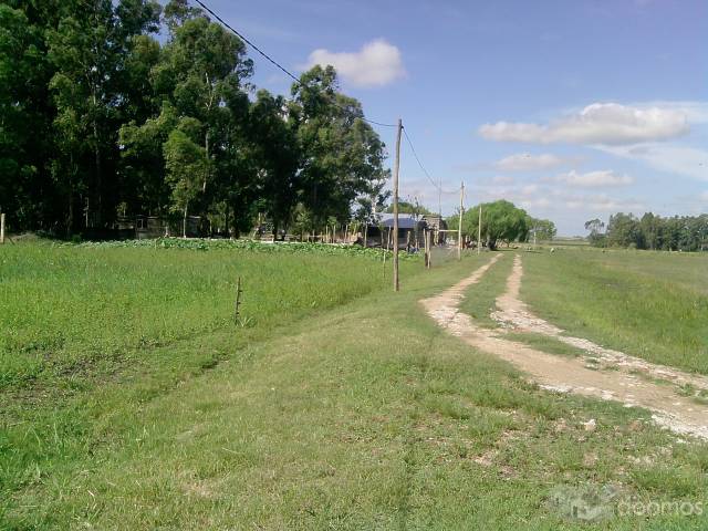 Chacra de 3 hectareas con vivienda en construccion a 3km de Canelones - 1