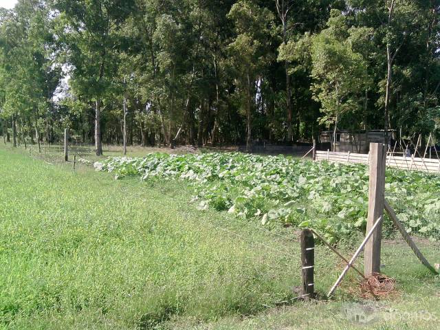Chacra de 3 hectareas con vivienda en construccion a 3km de Canelones - 2