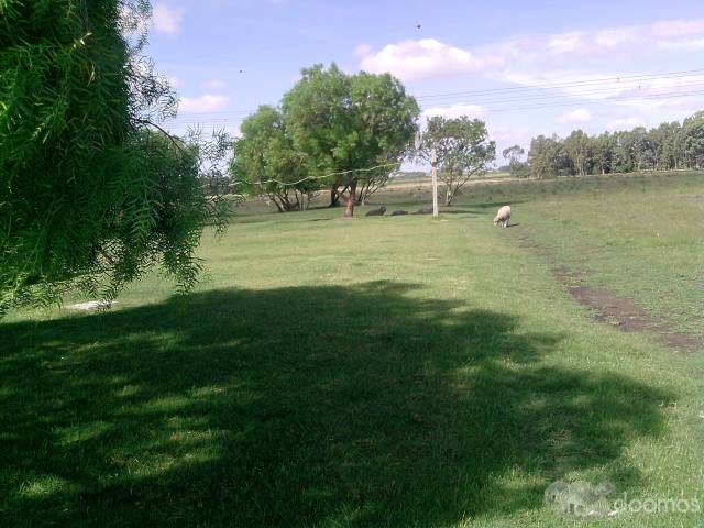 Chacra de 3 hectareas con vivienda en construccion a 3km de Canelones - 4