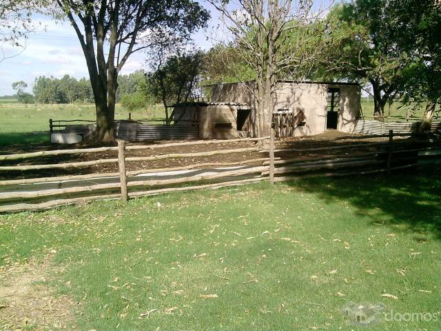 Chacra de 3 hectareas con vivienda en construccion a 3km de Canelones - 5