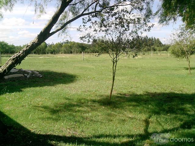 Chacra de 3 hectareas con vivienda en construccion a 3km de Canelones - 6