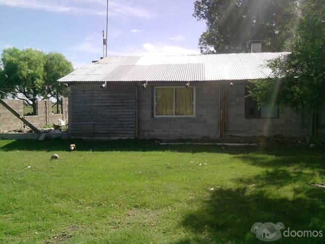 Chacra de 3 hectareas con vivienda en construccion a 3km de Canelones - 7