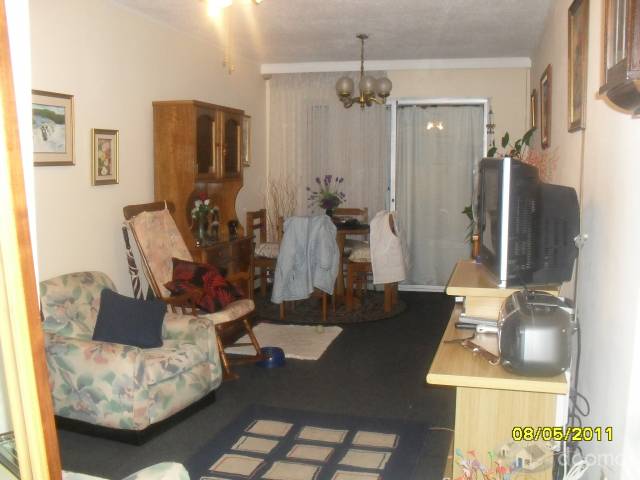 APARTAMENTO A LA CALLE MUY ILUMINADO - 2