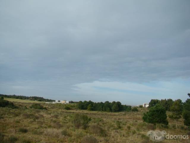 Lote de 5 ha en José Ignacio - 3