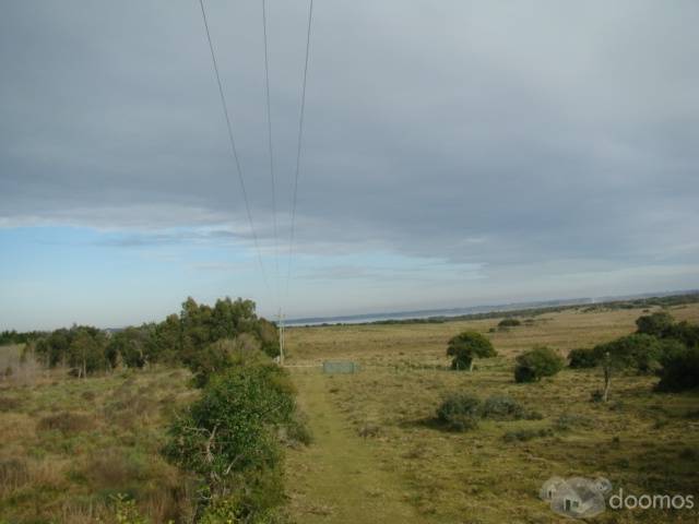 Lote de 5 ha en José Ignacio - 4