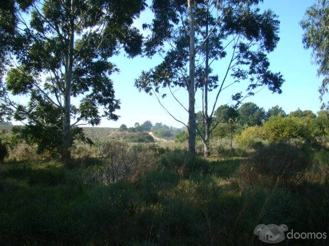 Lote de 5 ha en José Ignacio - 5