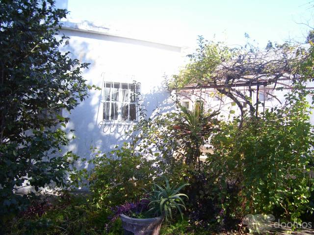 vendo casa en paysandu - 2