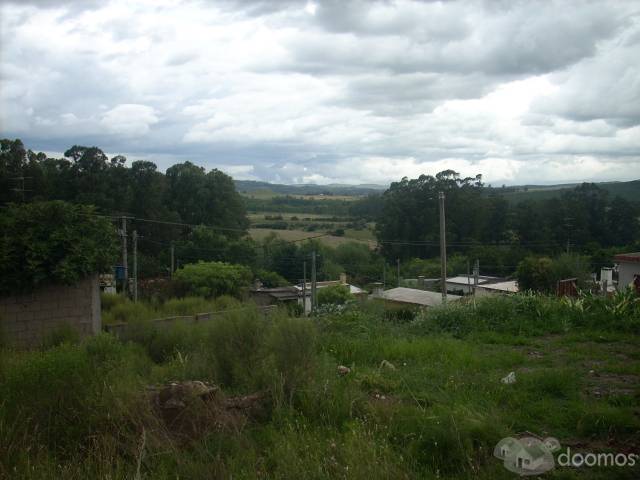 Venta de terreno en Minas 300Mts - 1
