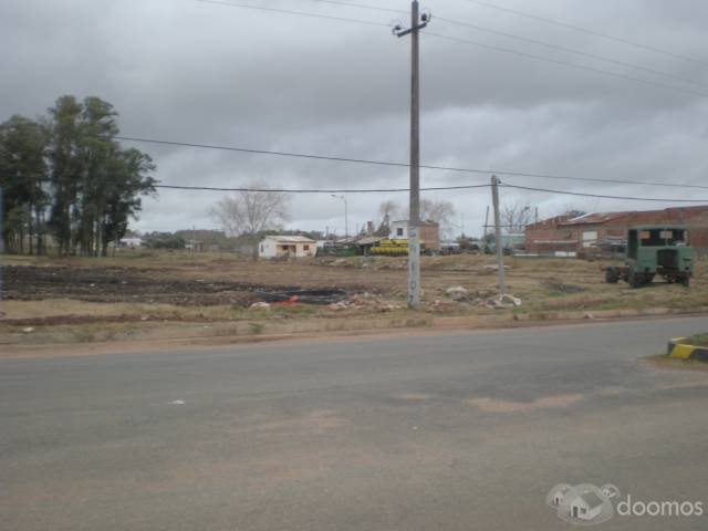 anunciamos la venta de 10 terrenos muy amplios en MELO! - 1