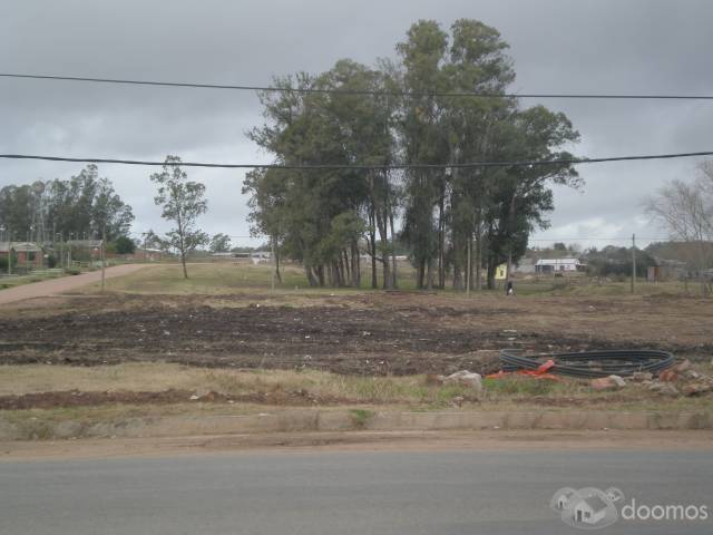 anunciamos la venta de 10 terrenos muy amplios en MELO! - 2
