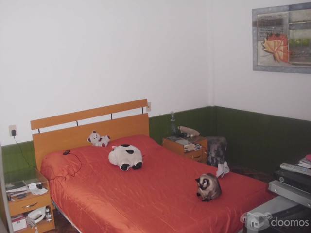 AMPLIO APARTAMENTO - 4