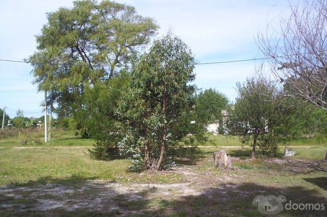 Parque del plata norte ,casa a pasos de interbalnearia. - 10