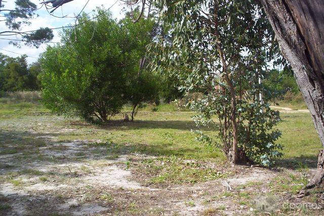 Parque del plata norte ,casa a pasos de interbalnearia. - 11