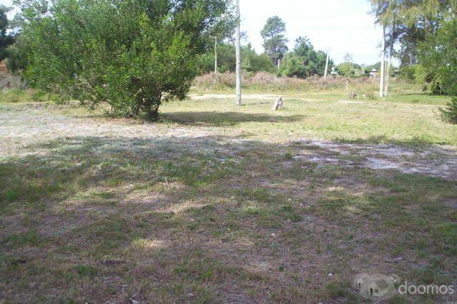 Parque del plata norte ,casa a pasos de interbalnearia. - 12
