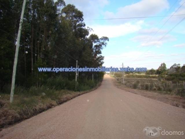CHACRA Rincón del Colorado7 Há - 9
