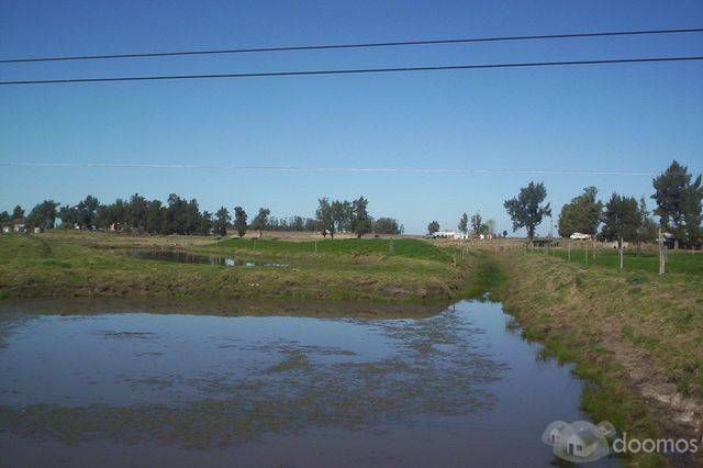 Chacra en Ruta 11,San Jacinto         REF: 0e0ch325at - 6