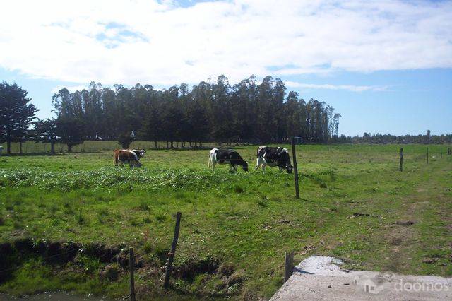 Chacra en Ruta 11,San Jacinto         REF: 0e0ch325at - 7