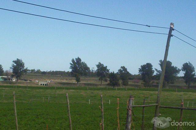 Chacra en Ruta 11,San Jacinto         REF: 0e0ch325at - 8