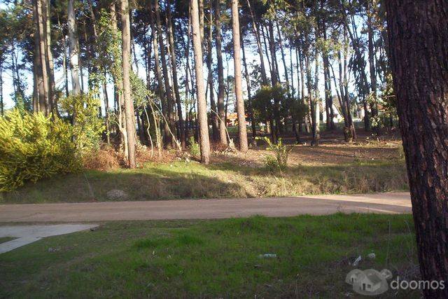 Una de las mejores Zonas de Parque del Plata norte e0te141pp - 1