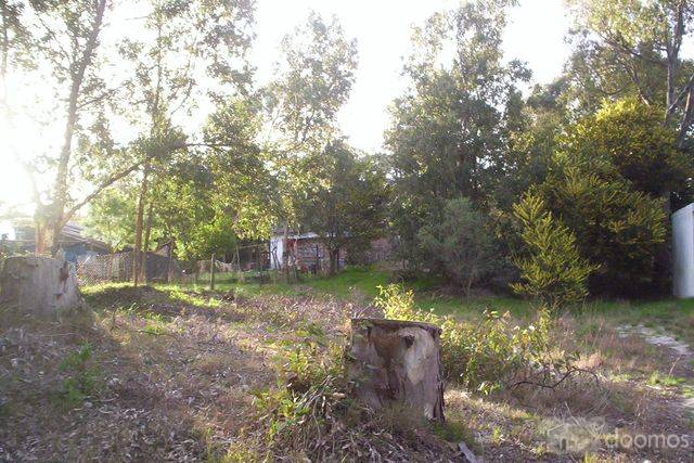 Una de las mejores Zonas de Parque del Plata norte e0te141pp - 4